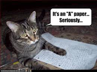 LOLCAT says, "It's an A paper... Seriously."