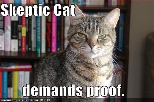 Meme: Skeptic Cat demands proof